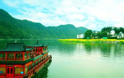 创意全自动高效